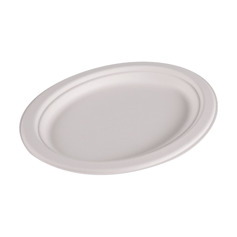 Assiette à déjeuner ronde en bagasse jetable compostable