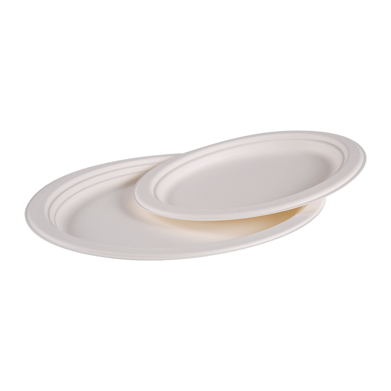 Assiette à déjeuner ronde en bagasse jetable compostable