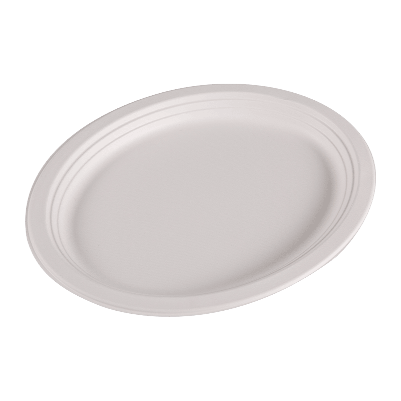 Assiette à déjeuner ronde en bagasse jetable compostable